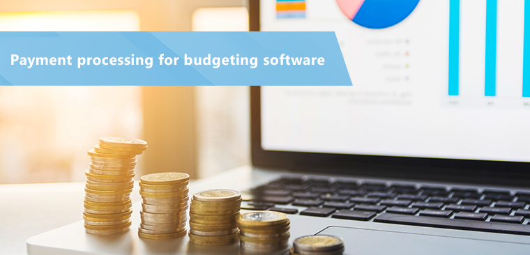 Payment processing for budgeting software